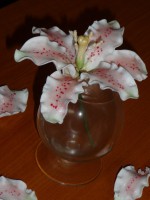 /album/dratkovane-kyticky-karamel/p1160101-jpg/