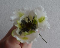 /album/dratkovane-kyticky-karamel/p1200484-jpg1/