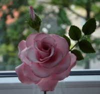 /album/dratkovane-kyticky-karamel/dsc-9682-jpg/