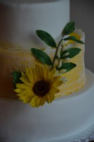 /album/dratkovane-kyticky-karamel/dsc-9739-jpg/