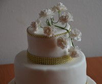 /album/dratkovane-kyticky-karamel/dsc-1790-jpg/