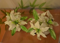 /album/dratkovane-kyticky-karamel/dsc-7904-jpg/