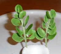 /album/dratkovane-kyticky-karamel/p1230866-jpg/